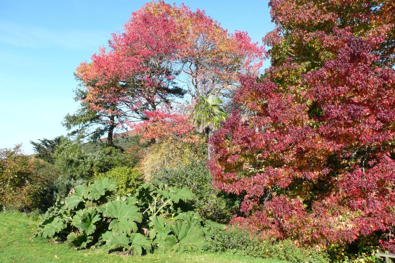 Luxury Bed And Breakfast At Bossington Hall In Exmoor, Somerset ポーロック エクステリア 写真