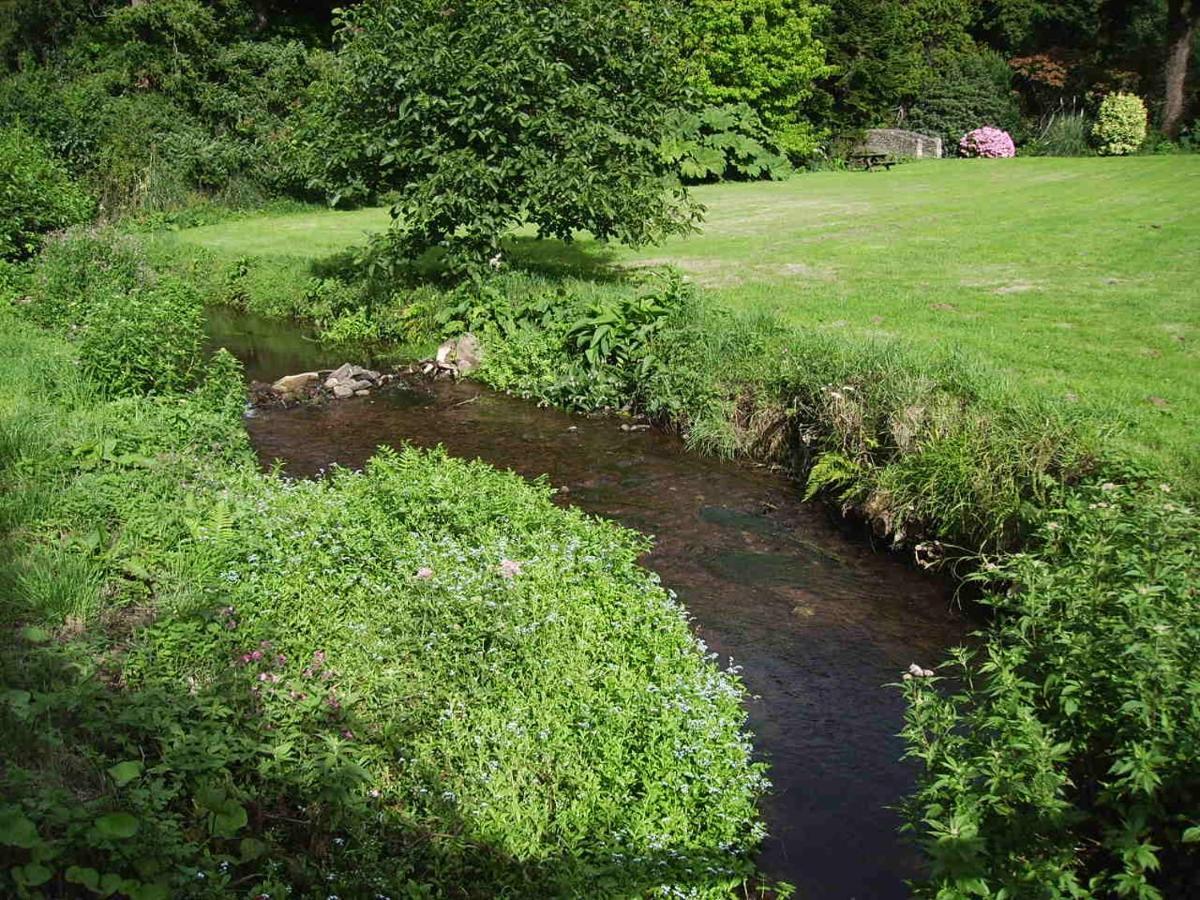 Luxury Bed And Breakfast At Bossington Hall In Exmoor, Somerset ポーロック エクステリア 写真